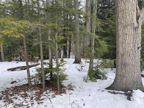 7366 Rynn, Clyde, MI 48049 photo 11