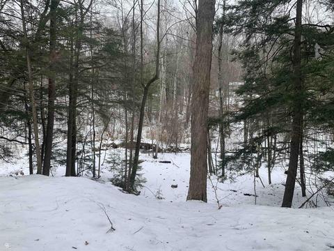 7366 Rynn, Clyde, MI 48049 photo 10