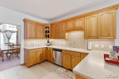 1420 E Gorman Rd, Adrian, MI 49221 photo 19