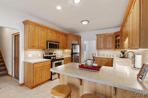 1420 E Gorman Rd, Adrian, MI 49221 photo 17