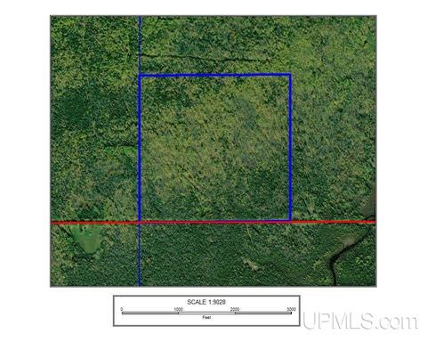 26190 E Bootjack, Lake Linden, MI 49945