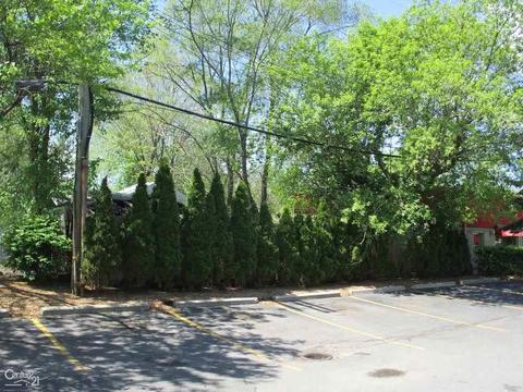 4896 Opal, Grosse Pointe, MI 48236 photo 3