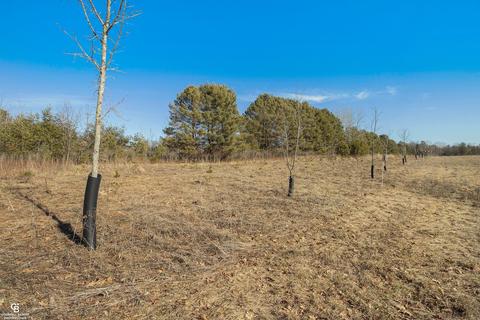 6967 Gibbons Rd, Jeddo, MI 48032 photo 67
