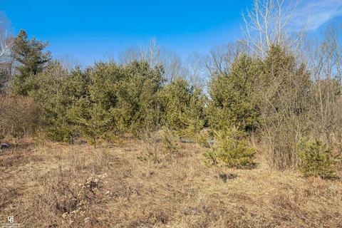6967 Gibbons Rd, Jeddo, MI 48032 photo 58