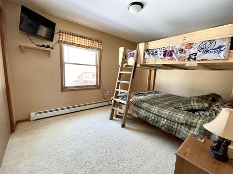 3784 Pinelands Pt, Gladwin, MI 48624 photo 22