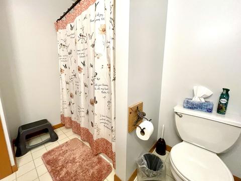 3784 Pinelands Pt, Gladwin, MI 48624 photo 26