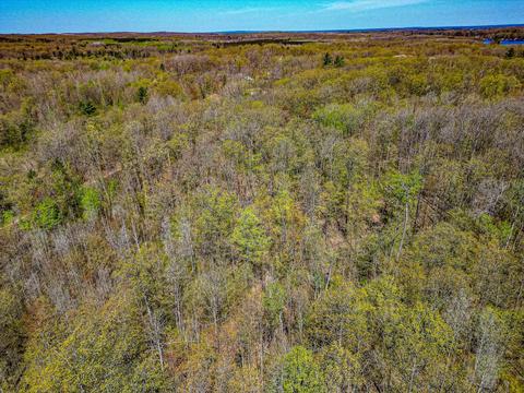 4286 Jay Woods, Harrison, MI 48625 photo 17