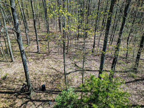 4286 Jay Woods, Harrison, MI 48625 photo 9