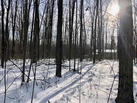 4286 Jay Woods, Harrison, MI 48625 photo 24