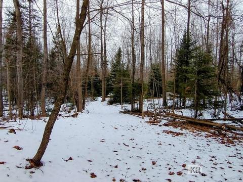 4952 Anglers Ln, Gladwin, MI 48624 photo 5