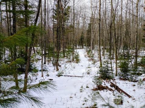 4952 Anglers Ln, Gladwin, MI 48624 photo 36