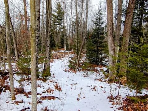 4952 Anglers Ln, Gladwin, MI 48624 photo 34