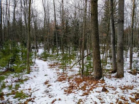 4952 Anglers Ln, Gladwin, MI 48624 photo 6