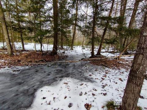 4952 Anglers Ln, Gladwin, MI 48624 photo 38