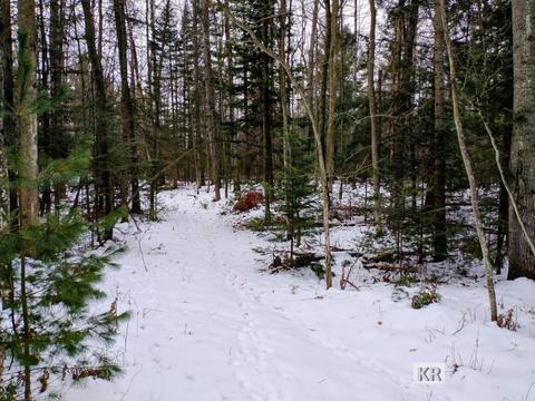4952 Anglers Ln, Gladwin, MI 48624 photo 30