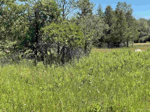 59 Tipperary Rd, Gladstone, MI 49837