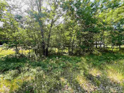 Tbd Tipperary, Gladstone, MI 49837 photo 7