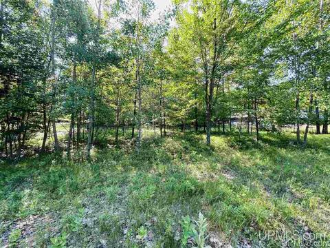 Tbd Tipperary, Gladstone, MI 49837 photo 2