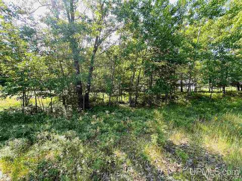 Tbd Tipperary, Gladstone, MI 49837 photo 9