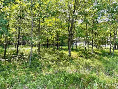 Tbd Tipperary, Gladstone, MI 49837 photo 4