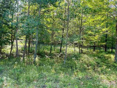Tbd Tipperary, Gladstone, MI 49837 photo 6