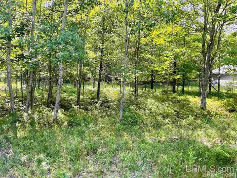 Tbd Tipperary, Gladstone, MI 49837 photo 5