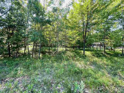 Tbd Tipperary, Gladstone, MI 49837 photo 3