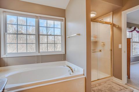 1643 Blushing, Rochester Hills, MI 48307 photo 33