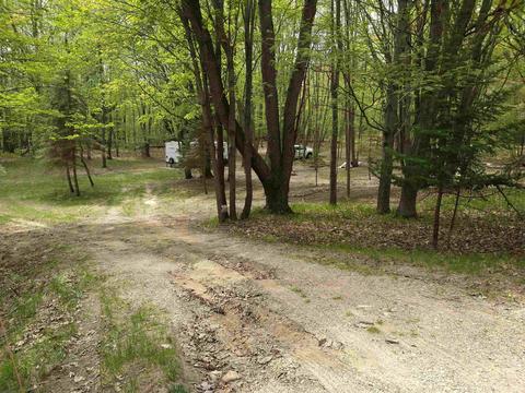 5448 Oak Run, Farwell, MI 48622 photo 2