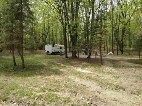 5448 Oak Run, Farwell, MI 48622