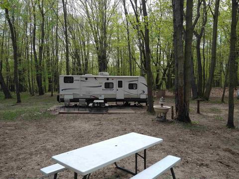 5448 Oak Run, Farwell, MI 48622 photo 3