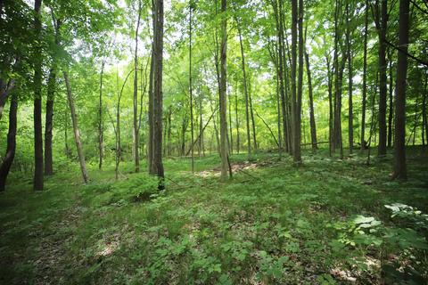 Beecher Road, Flint, MI 48532