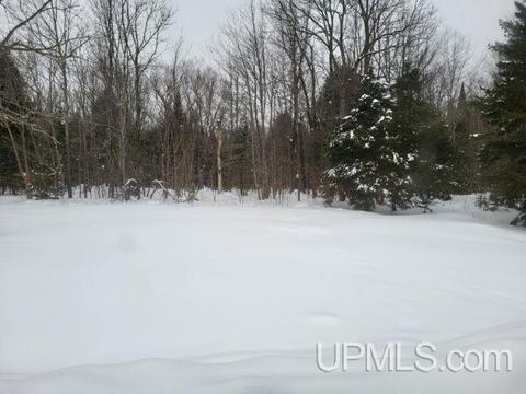115 Maple, White Pine, MI 49971 photo 12