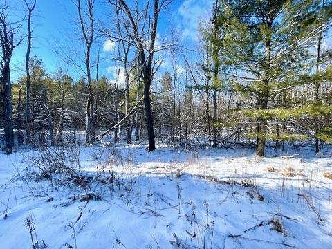 3817 Pinelands Pt, Gladwin, MI 48624 photo 13