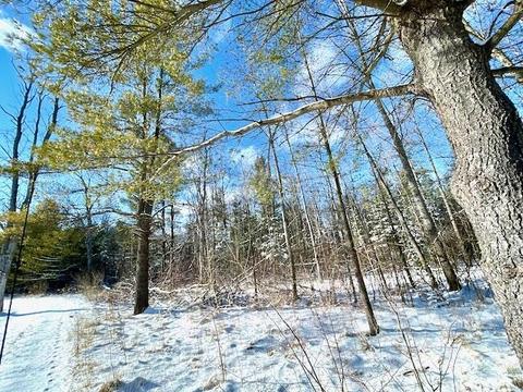 3817 Pinelands Pt, Gladwin, MI 48624 photo 15