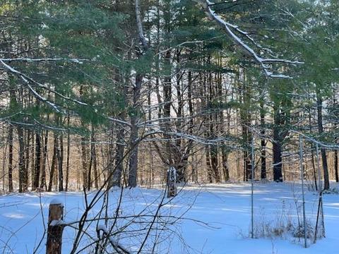 3817 Pinelands Pt, Gladwin, MI 48624 photo 18