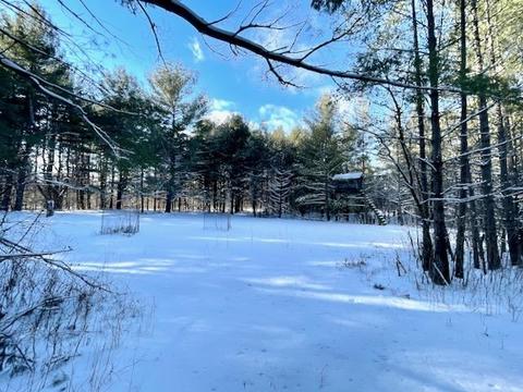 3817 Pinelands Pt, Gladwin, MI 48624 photo 19