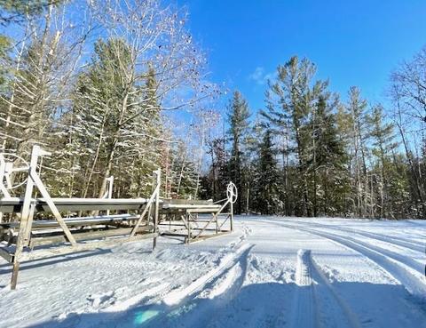 3817 Pinelands Pt, Gladwin, MI 48624 photo 24