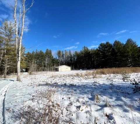 3817 Pinelands Pt, Gladwin, MI 48624 photo 20