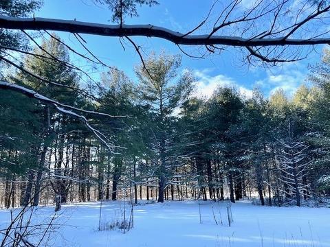 3817 Pinelands Pt, Gladwin, MI 48624 photo 3