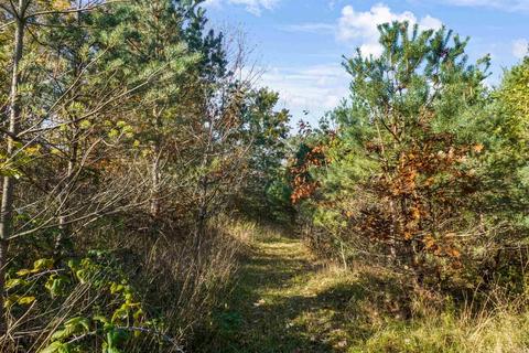 4134 N State, Davison, MI 48423 photo 64