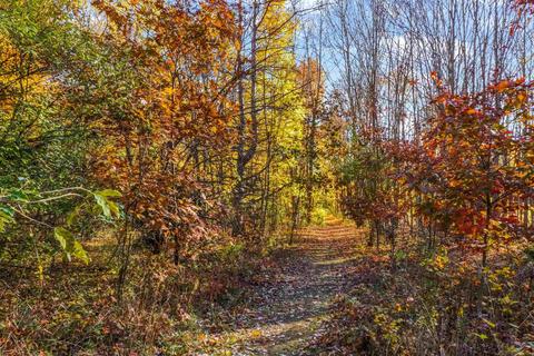 4134 N State, Davison, MI 48423 photo 61
