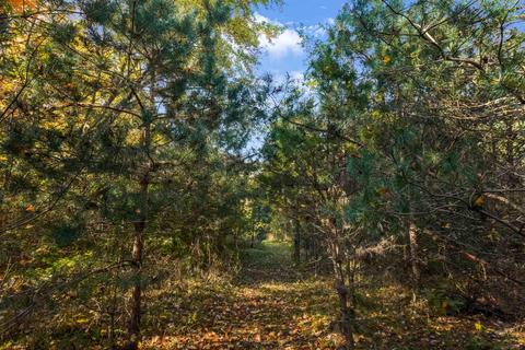 4134 N State, Davison, MI 48423 photo 65