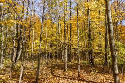 4134 N State, Davison, MI 48423 photo 63