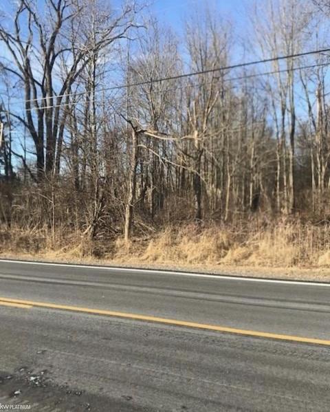 Vacant Swartout, Clay, MI 48001