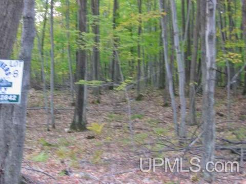Tbd Campbell, Florence T-wi, WI 54121
