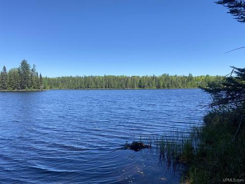 Lots 13 & 14 Grace Lake, Watersmeet, MI 49969
