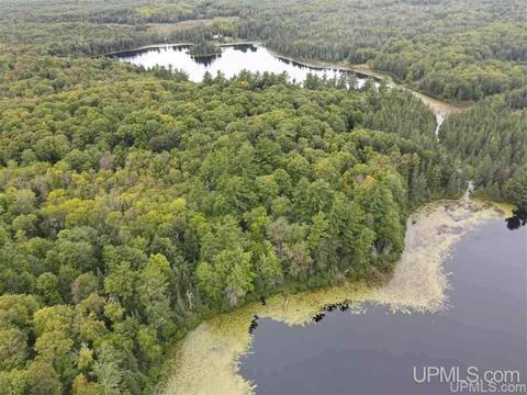 Tbd Grace Lake Rd Lot 23, Watersmeet, MI 49968