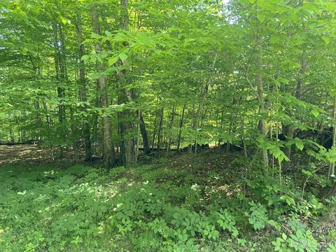 Tbd Tamarack, Manistique, MI 49854