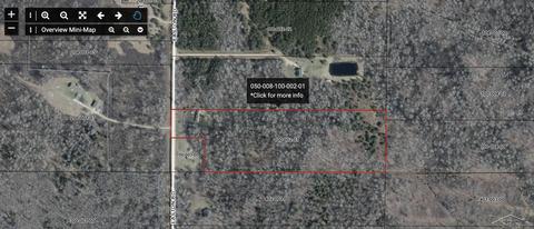 705 Easton Rd, Gladwin, MI 48624 photo 2